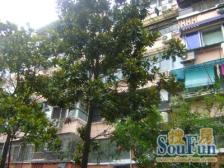 新泾三村 1室0厅 南