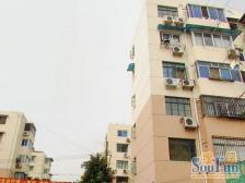 金桥·东波苑·2室·1厅