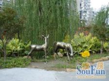 小高层高区,大气四房,南北通透双阳台