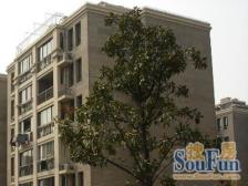 户型方正,双地铁,房间朝南,客厅朝南,精装带阁楼