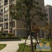 一梯四户,主卧朝南,两房朝南,环境优美,交通便利,居家装修,诚意出售