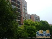 龙柏·华都公寓·3室·2厅