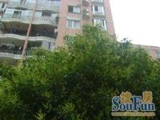 龙柏·华都公寓·3室·2厅