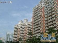 此房税少,南北通户型,高区视野开阔,业主诚售