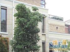 产权清晰,毛坯,采光好,急售房源