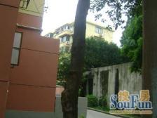 龙柏·龙柏六村·2室·1厅