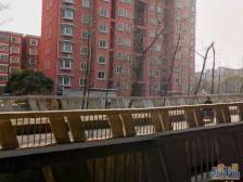 新上精装双南两房,高区视野好,房东诚意,欢迎咨询!