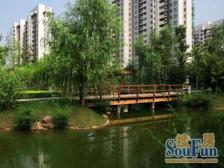 杨东 · 香梅花园一期 · 4室 · 3厅