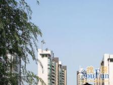 全 明 无 遮 挡,精 装 修 带 大 露 台。