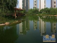 小区中心位置,两房朝南,厅南北通