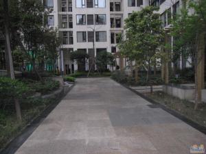 SOHO沸城1室0厅西南