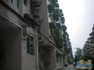 朝发苑3室1厅南北