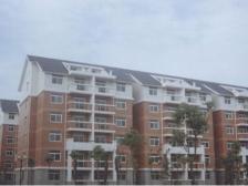 大礼堂10号线旁 小高层小区电梯房 出行方便