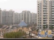 随时看房,电梯房精装,必看好房