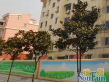 新上四房,三房朝南,正对颛桥公园,视野开阔