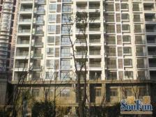 小区前排+正看风貌别墅+中高区视野采光好+满五年