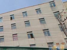 杨浦大居苑 4室2厅 2卫4阳台,176.80㎡ 送储藏室