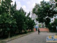 新出!少有 江湾大两房 精装修 中楼层