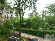 长风·小爱建新村·2室·2厅