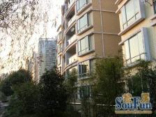 独立衣帽间,电梯大一房,业主售房急急急!