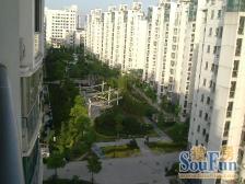 新上!顶楼复式。带产权车位。小区C位,