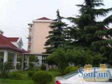 杨思前滩+金色中环+明珠+阁楼+协和海富