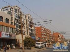 新上房源+精致小区+商品房花园小区+诚意出售