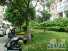 通风好,无抵押,采光好,必看好房