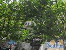 近地铁 现场实勘 刚需上车,随时看房 必看好房