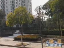 宝山 共和新苑 2室2厅