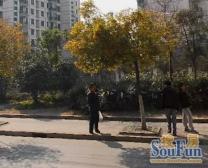 房价不用猜!能定啾能卖!本月必卖好房!