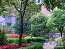 明德坊 2室1厅 南