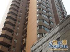 专属委托|闹中取静|带花园|高区景观|必看好房