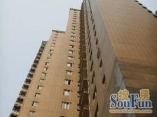 专属委托|闹中取静|带花园|高区景观|必看好房