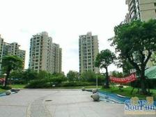 内环四高小区+南北直通双阳台+婚房装修+飞机户型