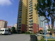 金云苑 3室2厅 东