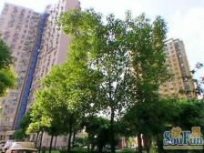 电梯高层 .近地铁(6+14),全明户型,精装修70万。