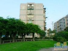 近地铁好楼层装修温馨采光充足南北直通