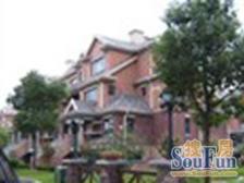 联排边套/围绕式花园/一楼长辈房,户型正气六房