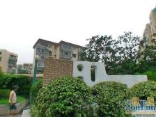 锦江乐园288米全明大一房 小区位置好