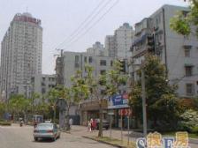 内环地铁口双南双阳台+1993年北郊+采光好