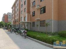 专属临河04年商品房,中间楼层,精装改三房,干净清晰