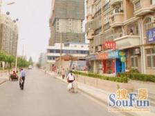 新上双南两房两厅南北通透看房提前联系