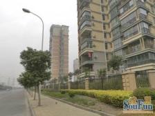 碧云刚需三房,建议先实地看房,价格我去帮您争取,入门级房源