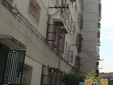 真如西村 1室1厅 南 北