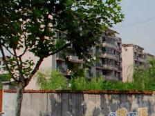 古美罗阳·华梅花苑·1室·1厅