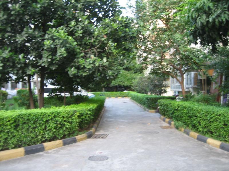 海映山庄商铺图片相册,平面图,样板间图,装修效果图,实景图-深圳商铺