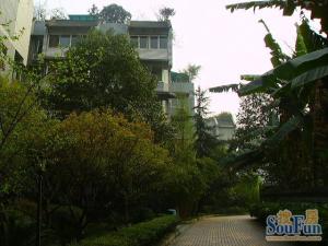 百花芳邻3室2厅南