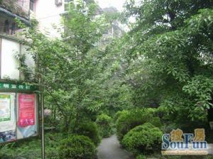 青华路24号3室1厅南北