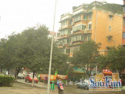 百花森苑实景图